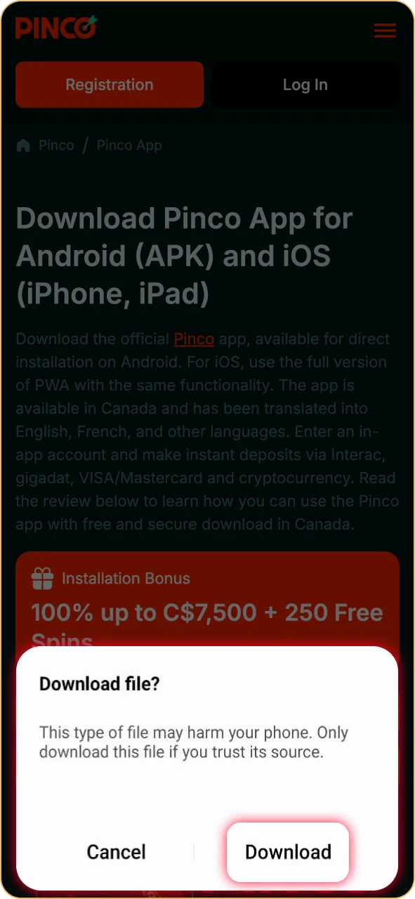 Approve the Pinco download to save the file.