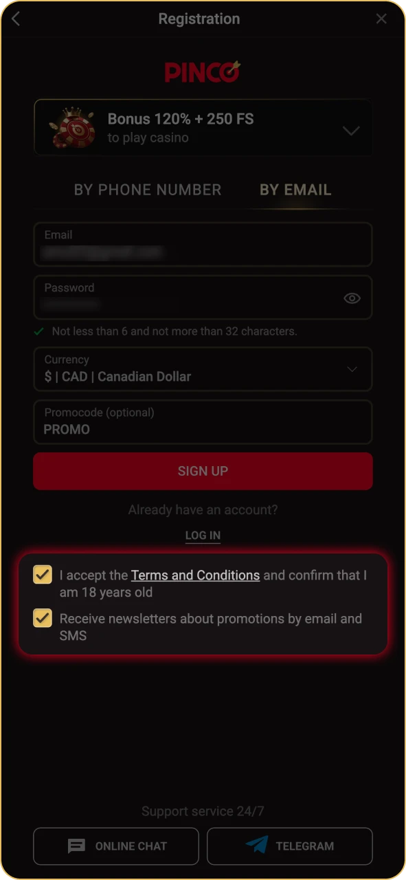 Read and accept the Pinco terms and conditions.
