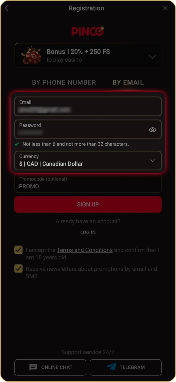 Enter your personal details in Pinco register form.