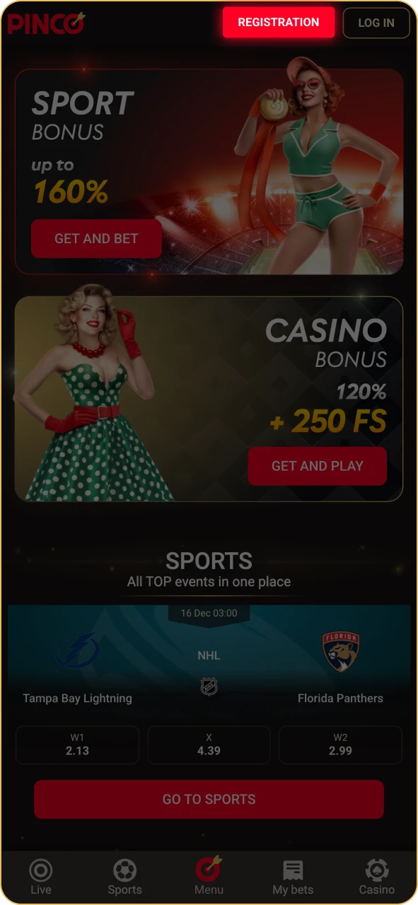 Launch the Pinco application on your device.