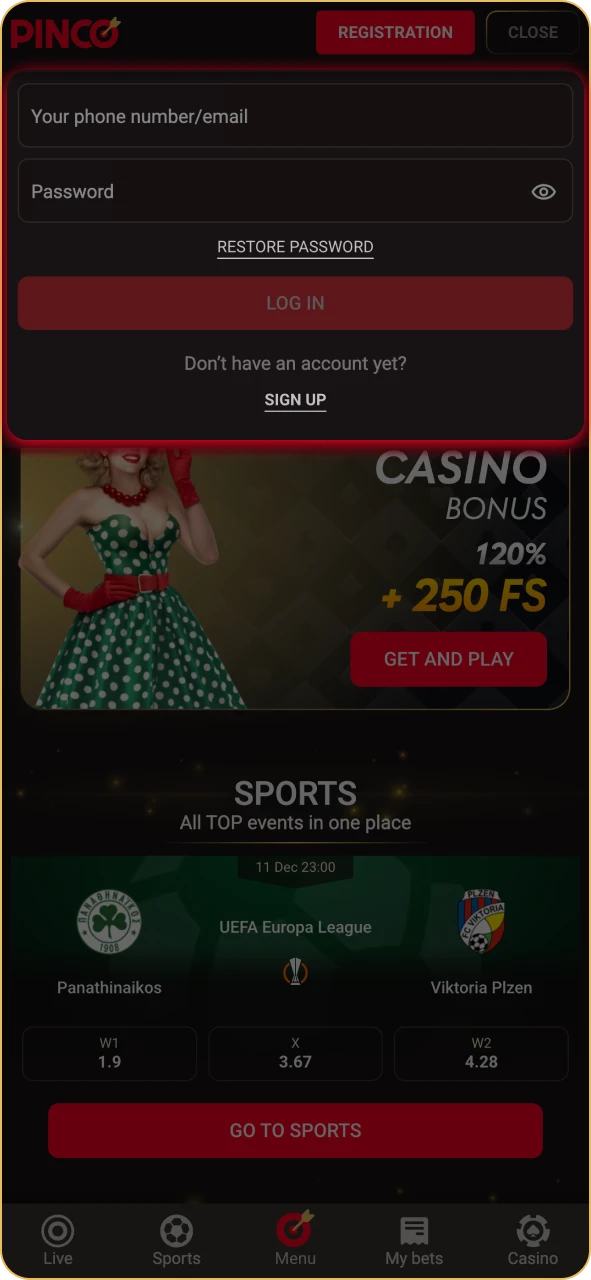 Enter your personal information at Pinco login form.