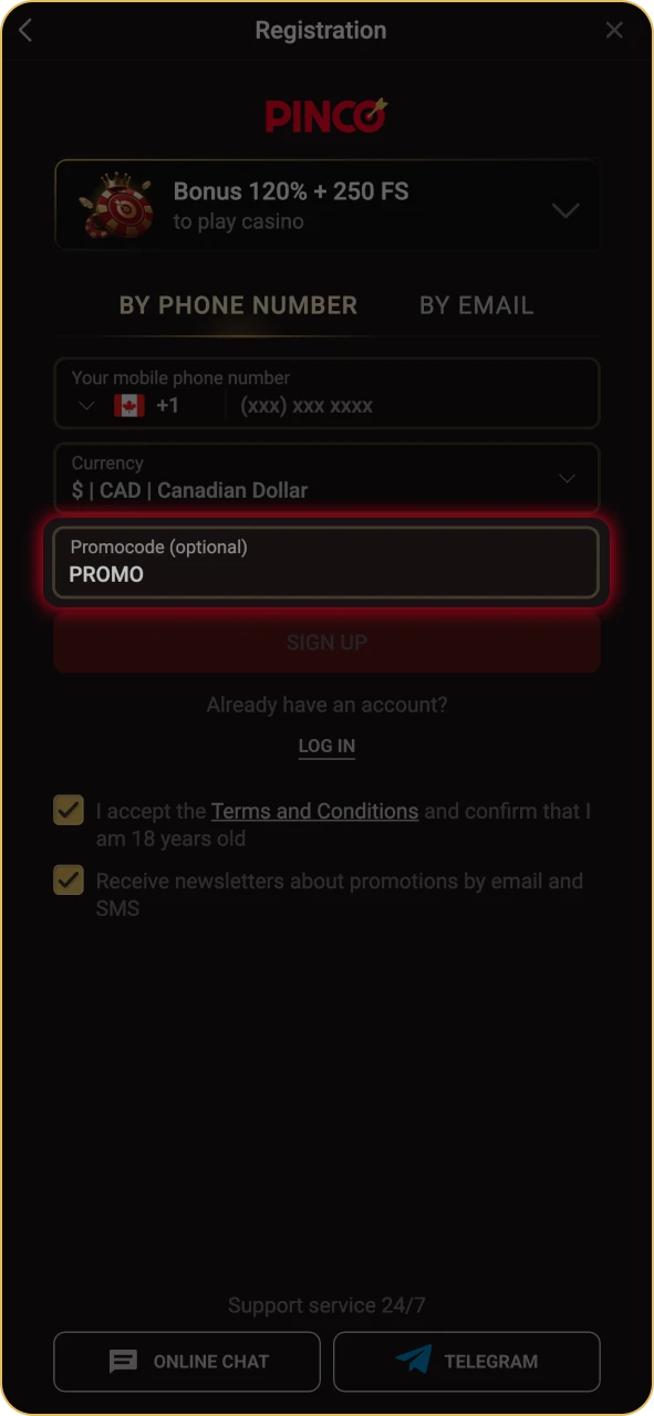 Find the field labelled promo code in Pinco registration form.