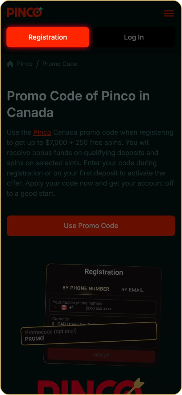 Click on the Register button on Pinco page.