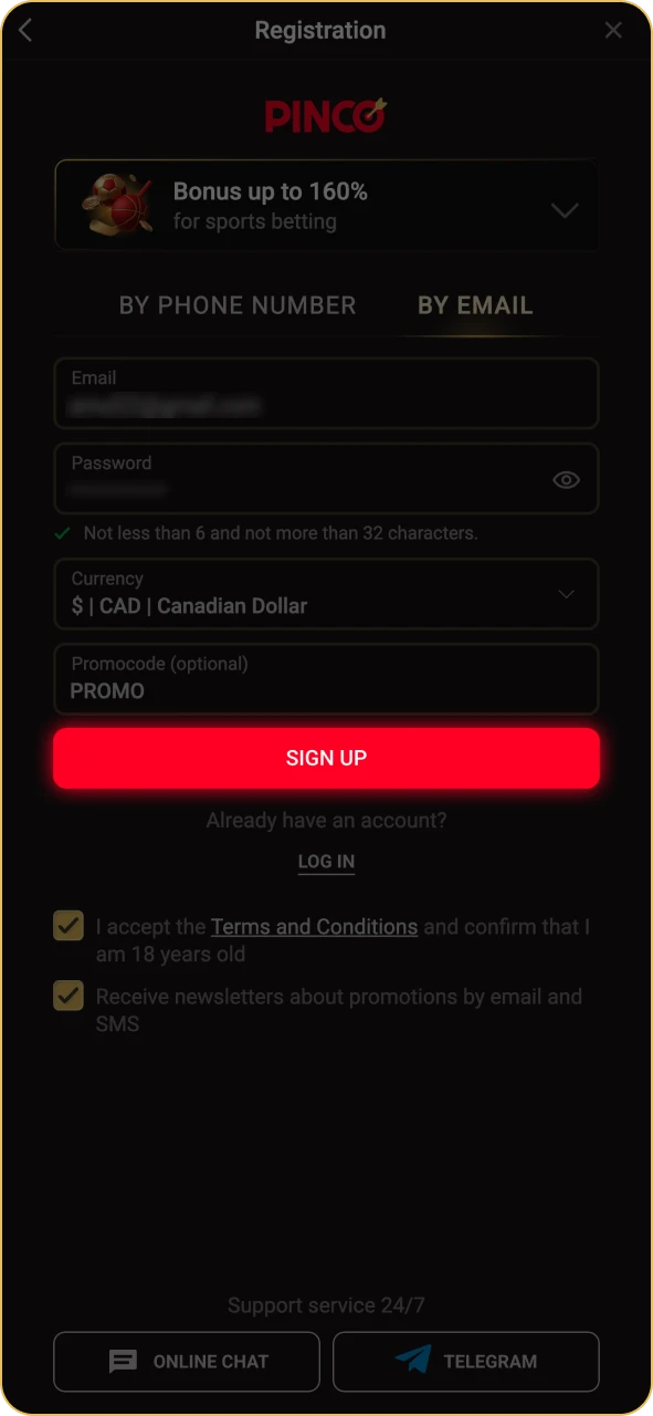 Complete the procedure to access your Pinco profile.