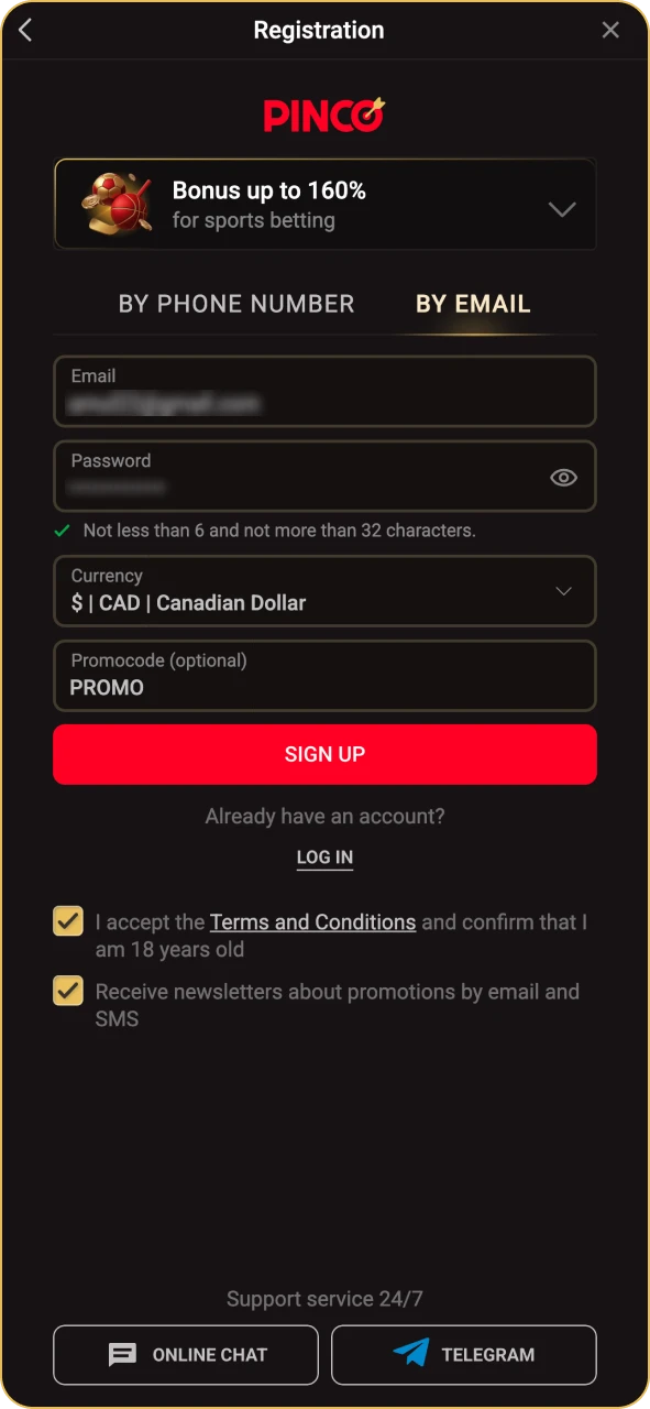 Enter the personal information in the Pinco form.