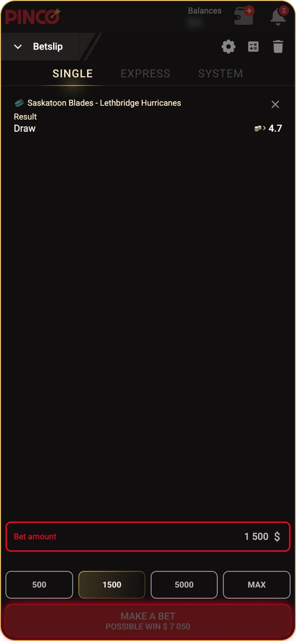 Check your potential winnings at Pinco and confirm.